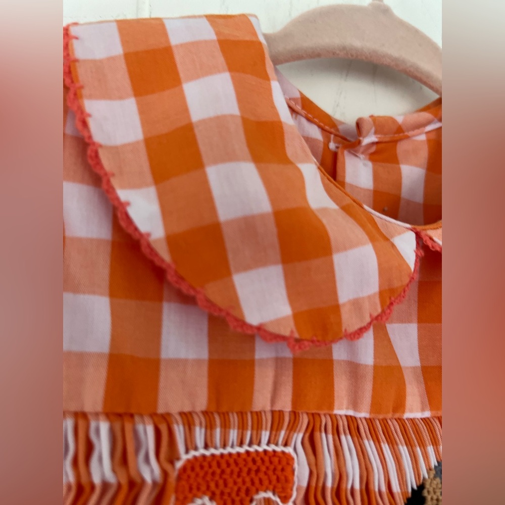 Tennessee VOLS Smocked Orange White Gingham Bow Dress Smokey Dog Sz 12 Months - Picture 13 of 13